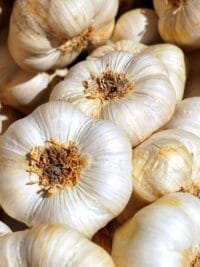 garlic, tubers, garlic bulb, aromatic plant, food, mediterranean, aromatic, sharp, hearty, clove of garlic, garlic, garlic, garlic, garlic, garlic