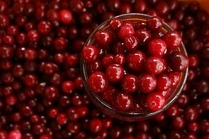 Close-up of vibrant cranberries in a glass bowl, perfect for healthy recipes.