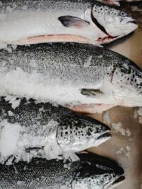 Close-up of whole fresh salmon on ice at a fish market in Funchal, Madeira, Portugal.