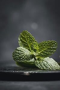 Close-up of vibrant mint leaves on a dark ceramic plate, capturing freshness and texture.