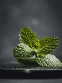 Close-up of vibrant mint leaves on a dark ceramic plate, capturing freshness and texture.
