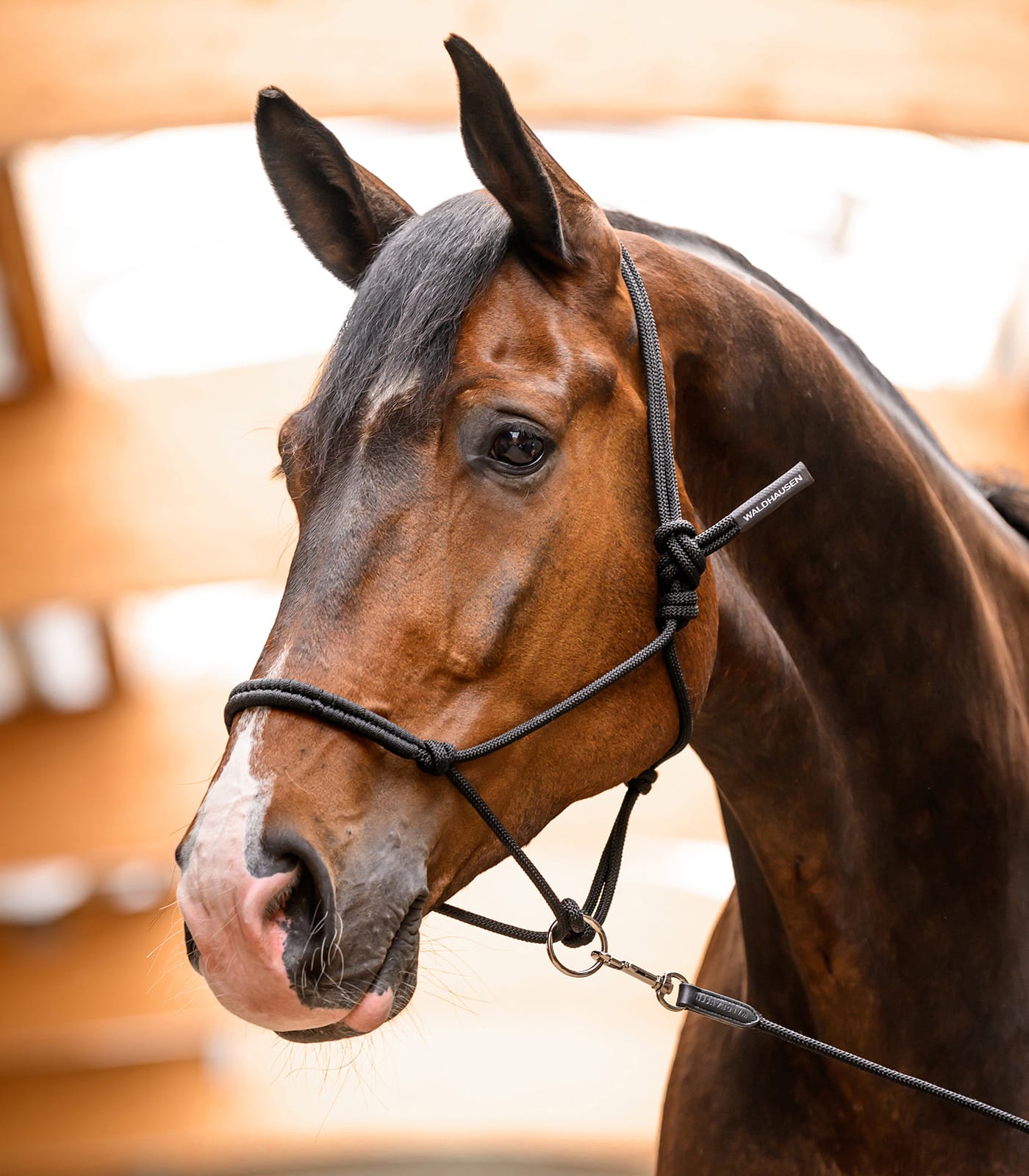 Knotted halter with movable ring - Image 4