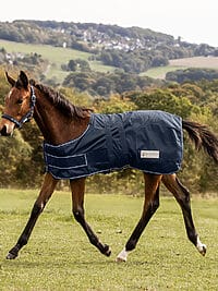 COMFORT Turnout Rug for Foals