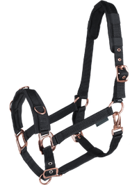 Rosé Groundwork and Lunging Halter