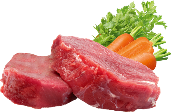 BF Petfood BIO Organic Beef Menu Dog 150g-400g 2 BF Petfood BIO Organic Beef Menu Dog 150g-400g - Image 2
