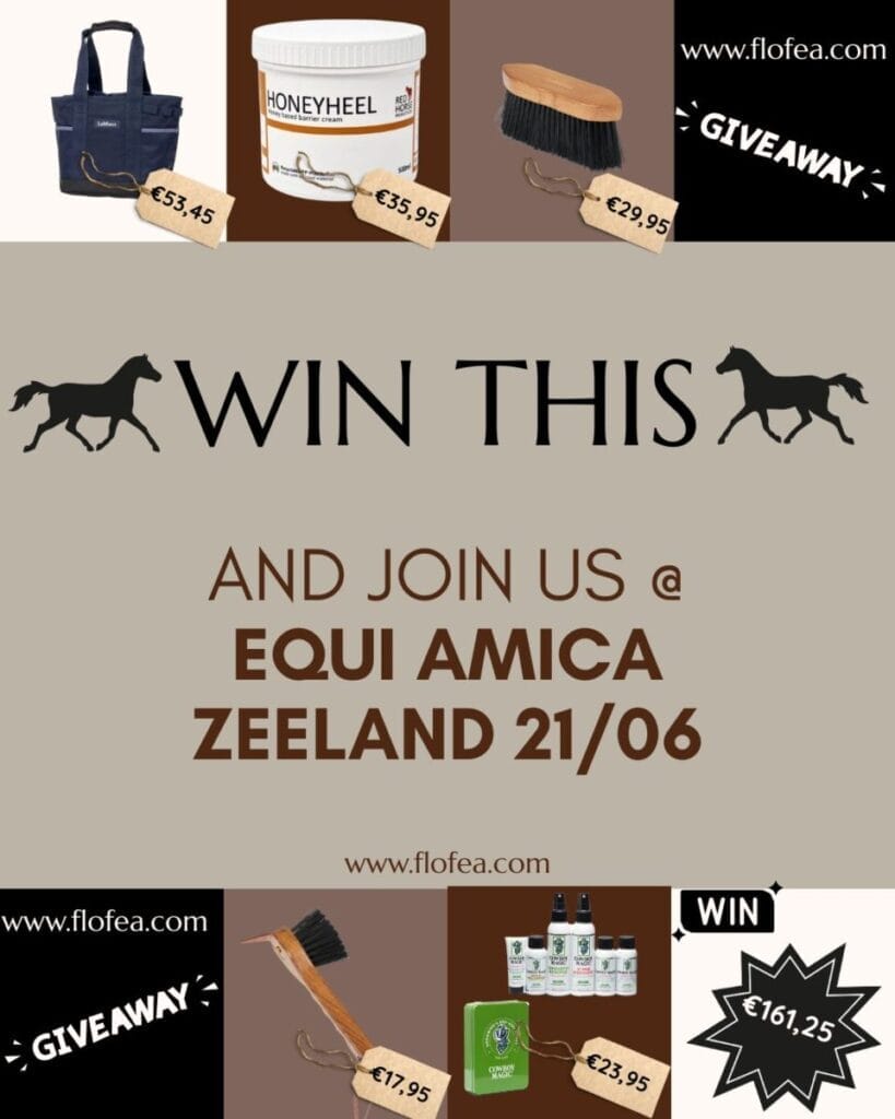 EQUI AMICA Instagram bericht 45