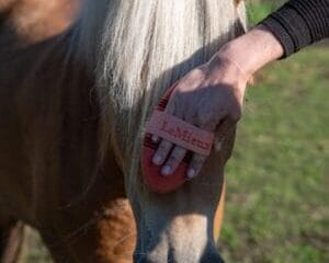 Flexi Scrubbing Brush Apricot