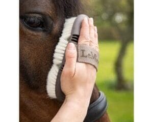 Flexi Goats Hair Body Brush Walnut