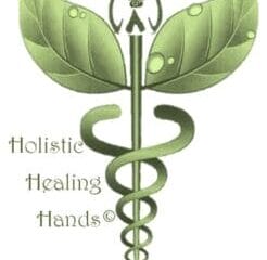 Holistic Healing Hands Neightrition Line NeighGainz 15kg