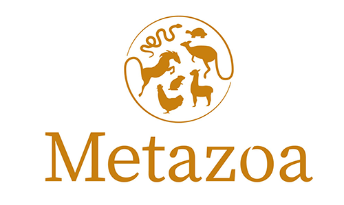 LOGO METAZOA Metazoa