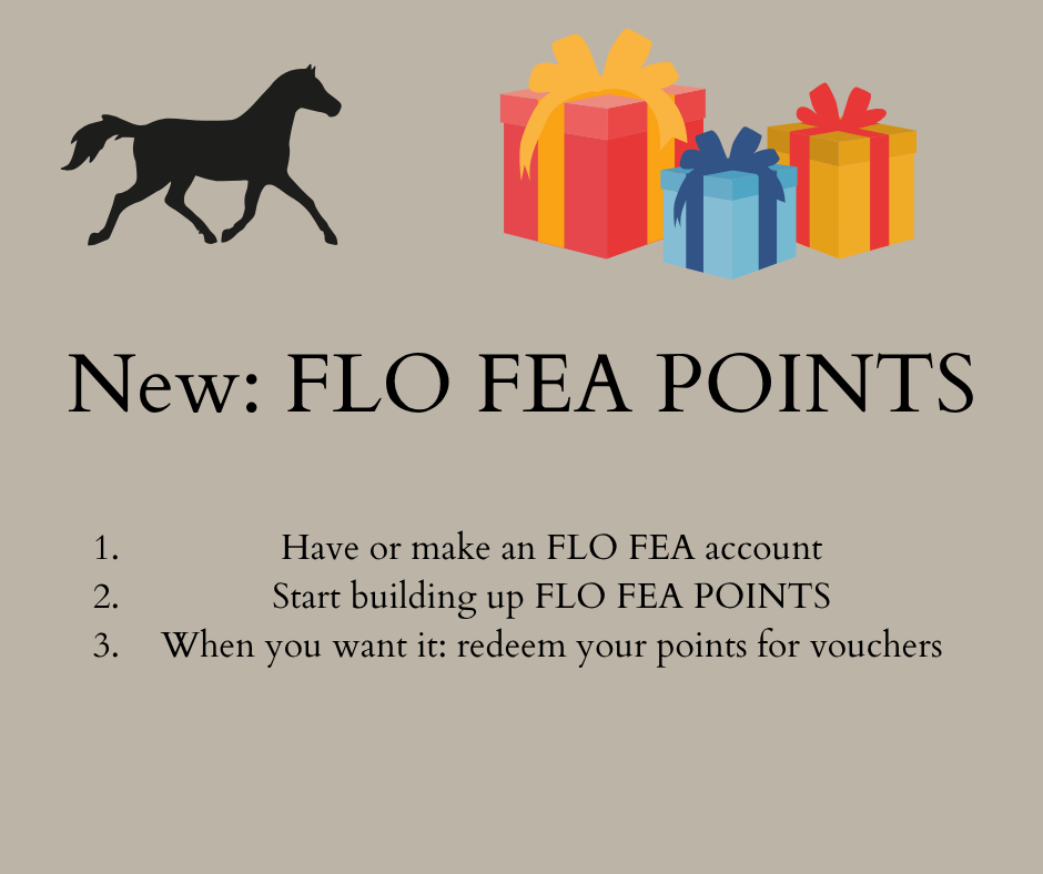 New FLO FEA POINTS 1