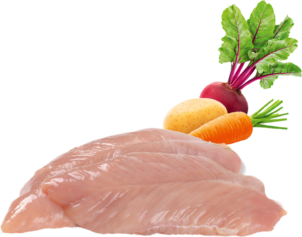 BF Petfood BIO Organic Turkey Menu Dog 400g 6 BF Petfood BIO Organic Turkey Menu Dog 400g - Image 6
