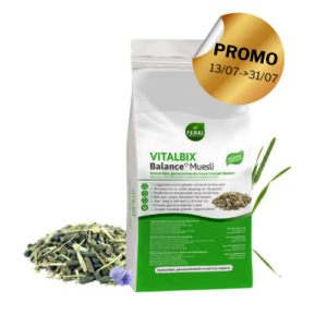 PROMO
