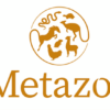 Logo Metazoa