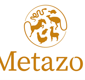 Metazoa LOGO
