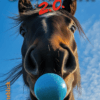 Schermafbeelding 2025 04 23 113743