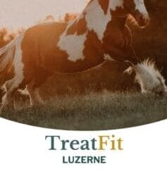 Metazoa TreatFit Luzerne