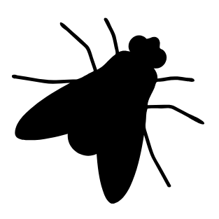 Contrôle des mouches