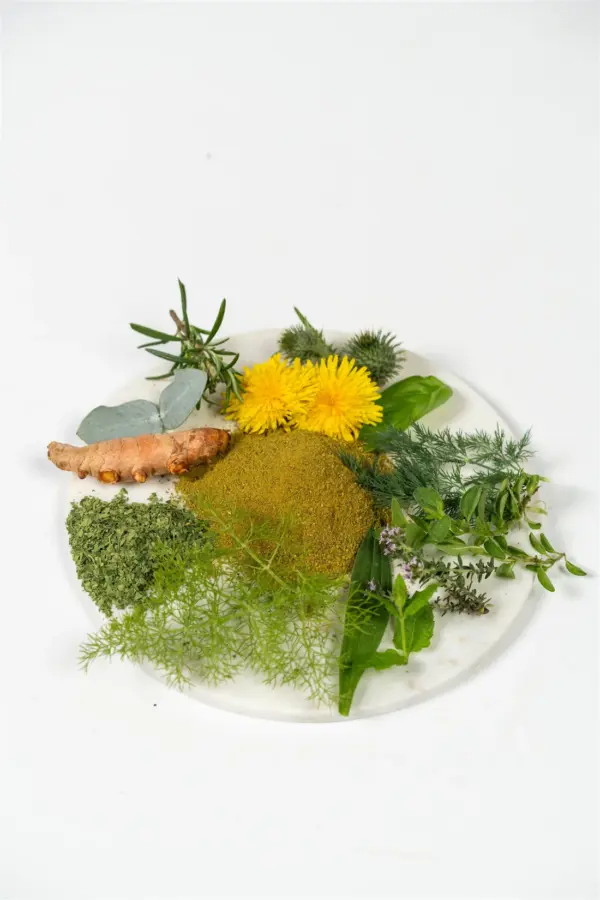 Natuly Bio-Chi Carnivore 100 grammes – Image 2