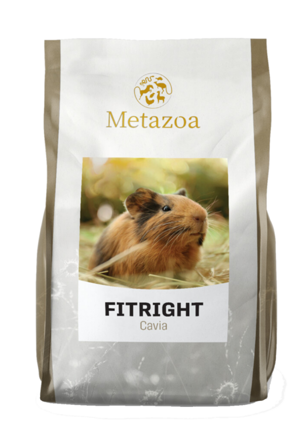 Metazoa Fitright Guinea Pig